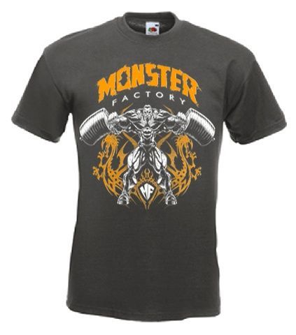 Футболка чоловіча MONSTER FACTORY (Gray) SF-05-09-03-S фото