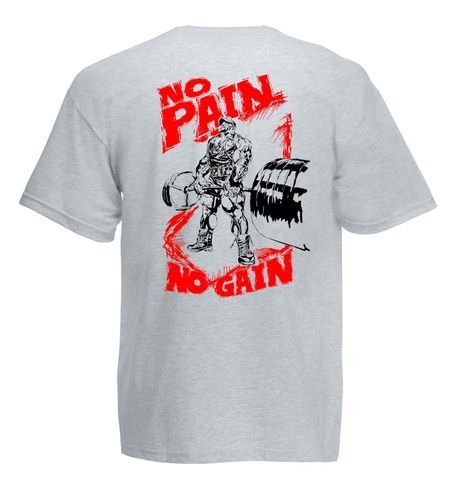 Футболка чоловіча NO PAIN NO GAIN (Gray) SF-04-14-01-S фото